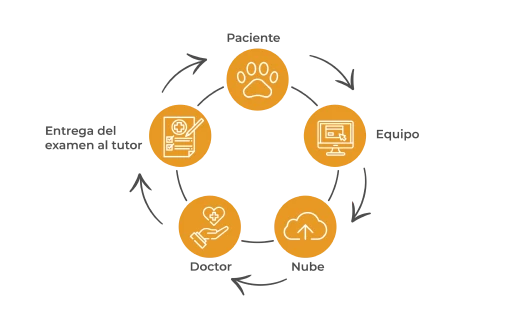 Cfaz management flow icon